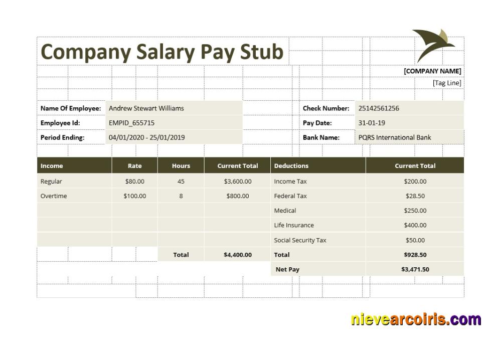 Company Salary Pay Stub